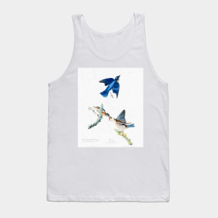 John Audubon Reimagined - Bluebirds Tank Top